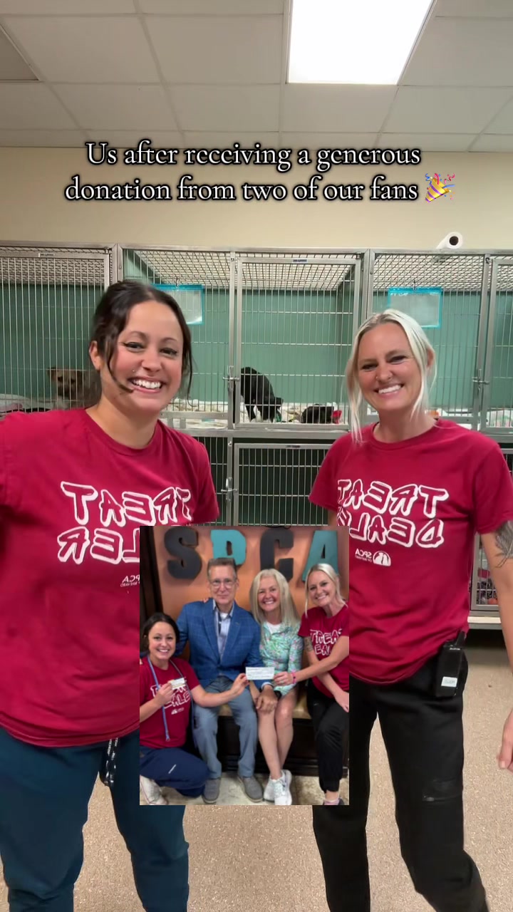 @2vettechs