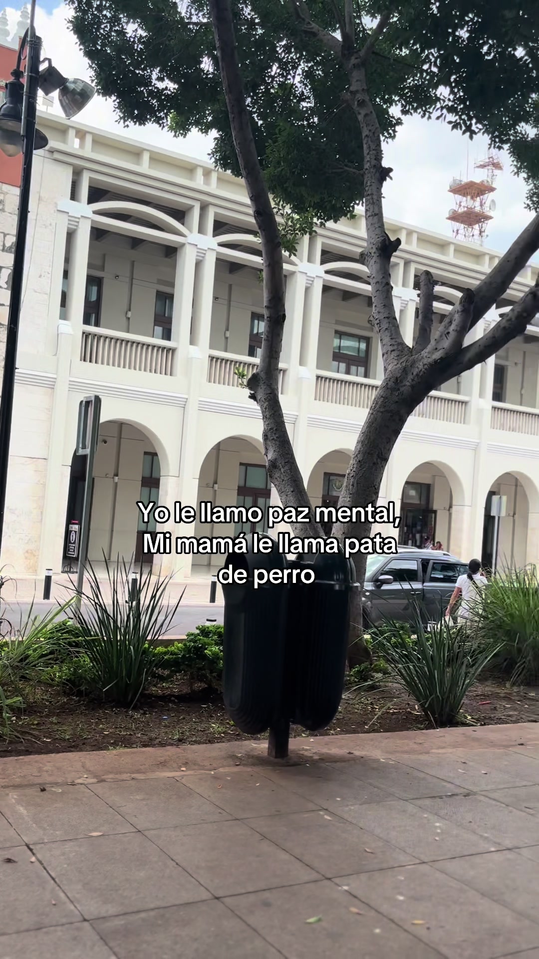 @mayraeuann