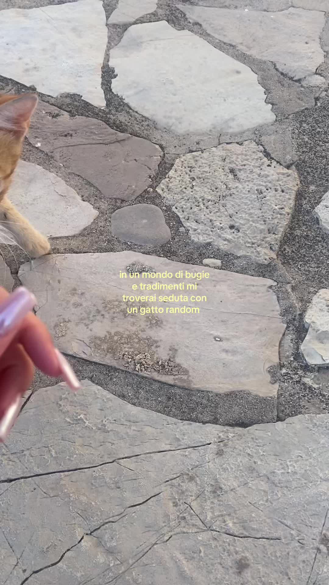 @nada