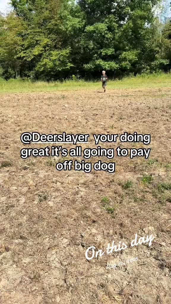 @cj