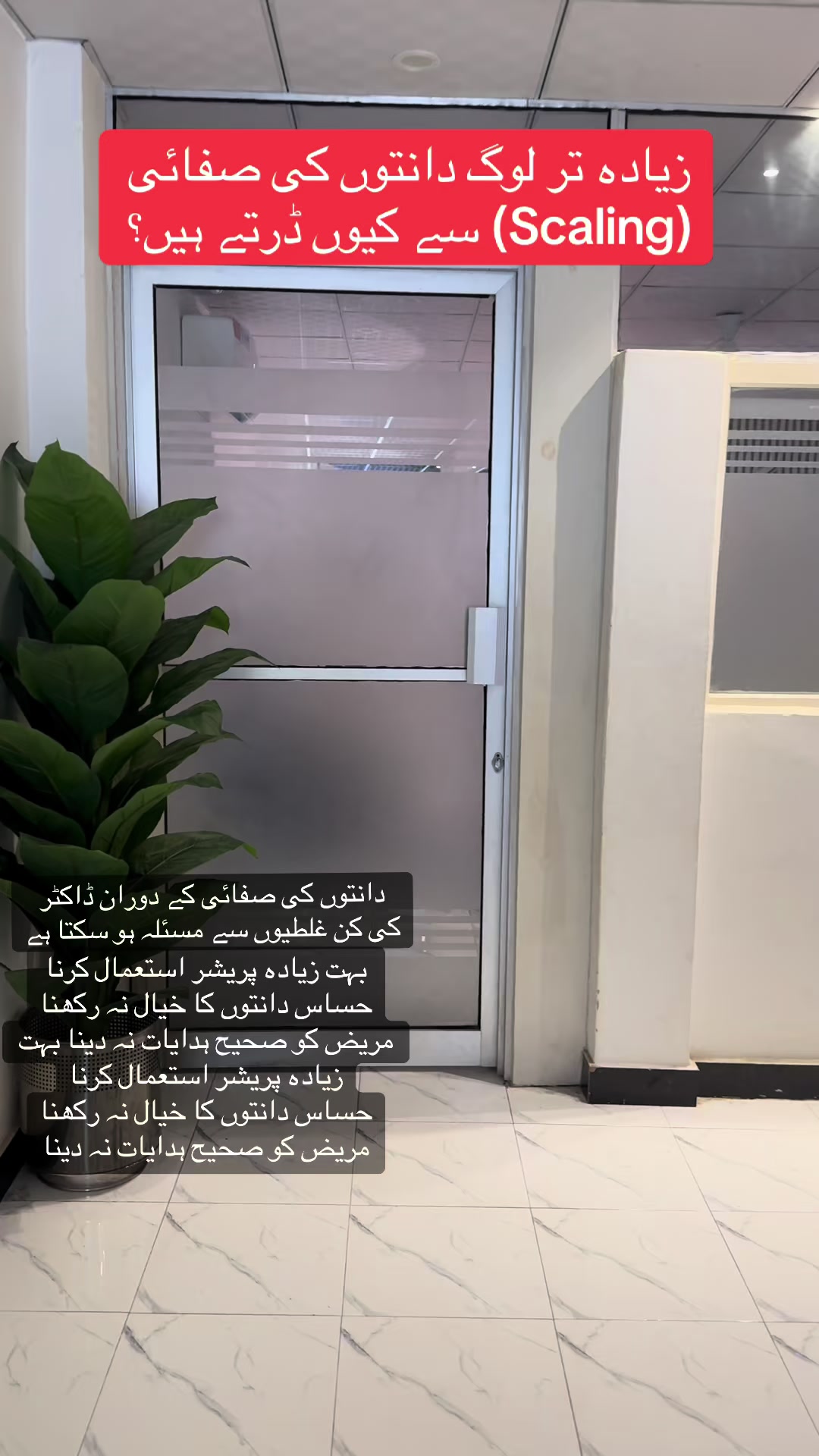 @Dr Hammad| Dental Surgeon