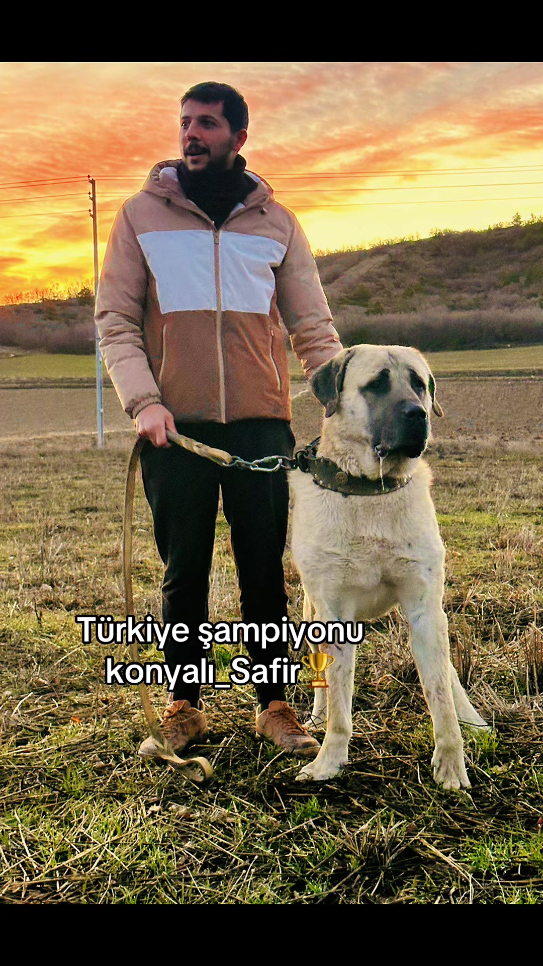 @Konyalı ziya