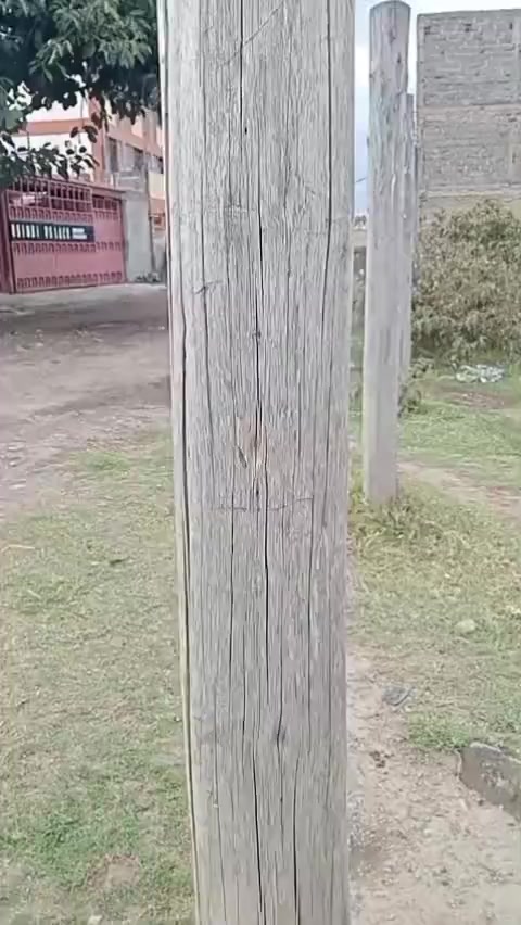 @Nyambura Mwambura