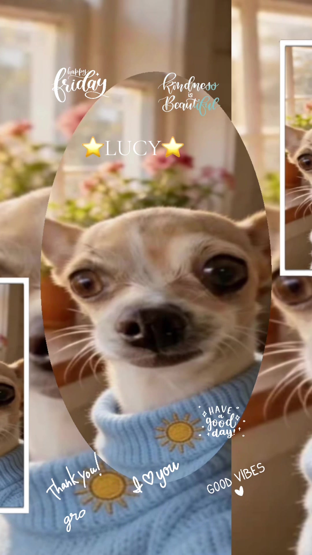 @Lucy