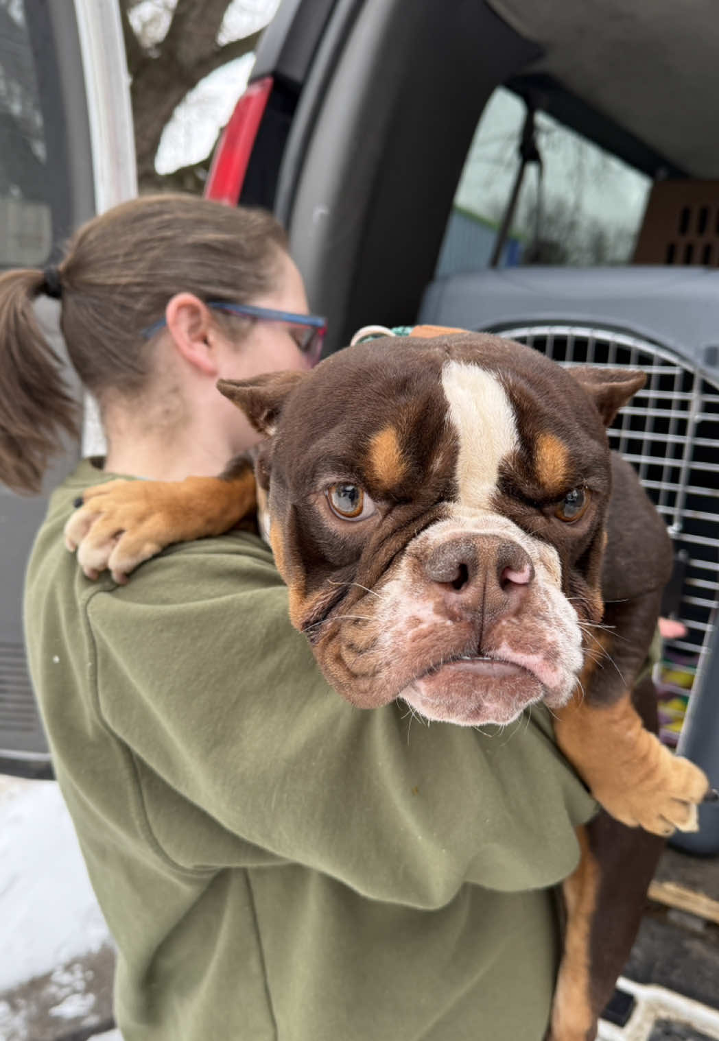 @sftsanimalrescue