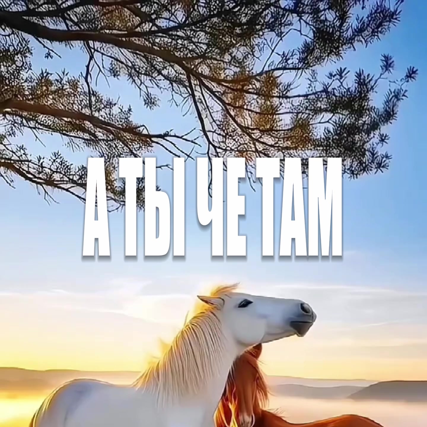 @лэнси