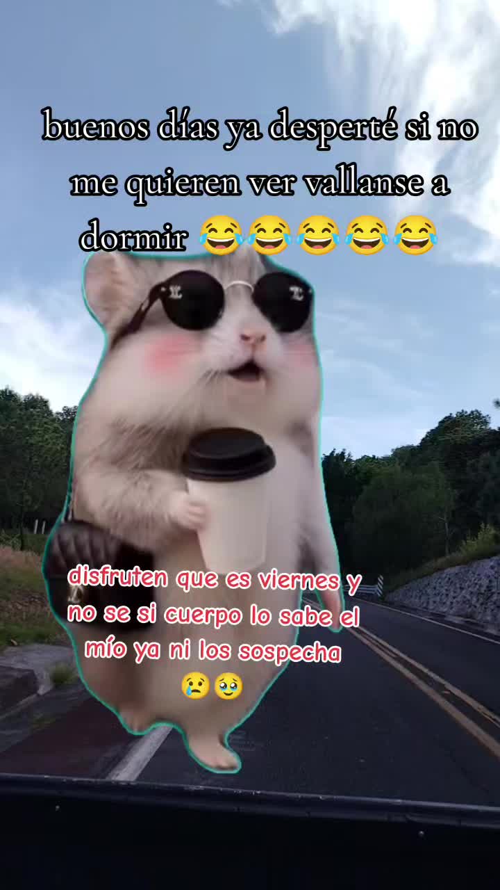 @Mónica Guzman