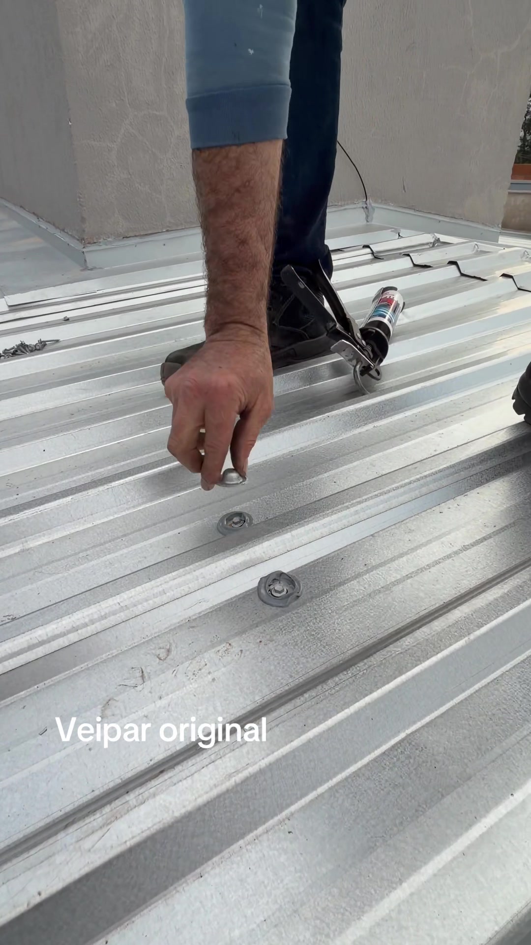 @Veimar Alves - Veipar