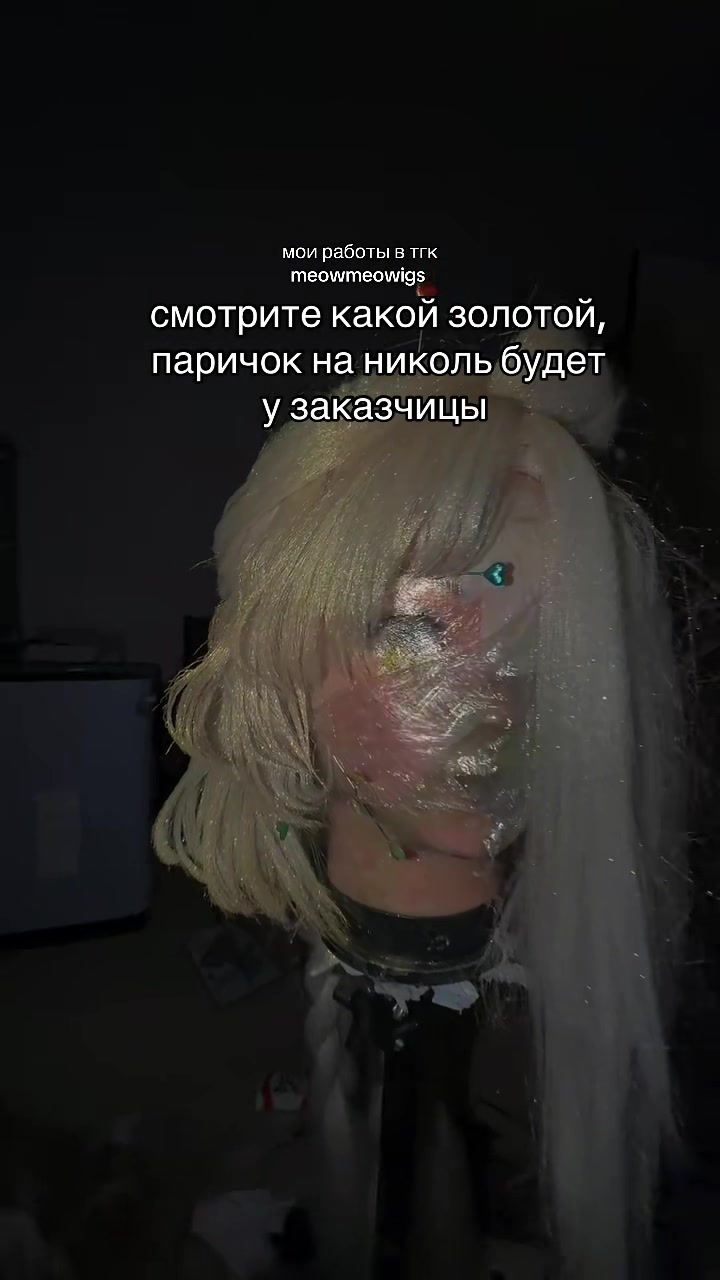 @тгк vivien & meowmulia˚✧₊