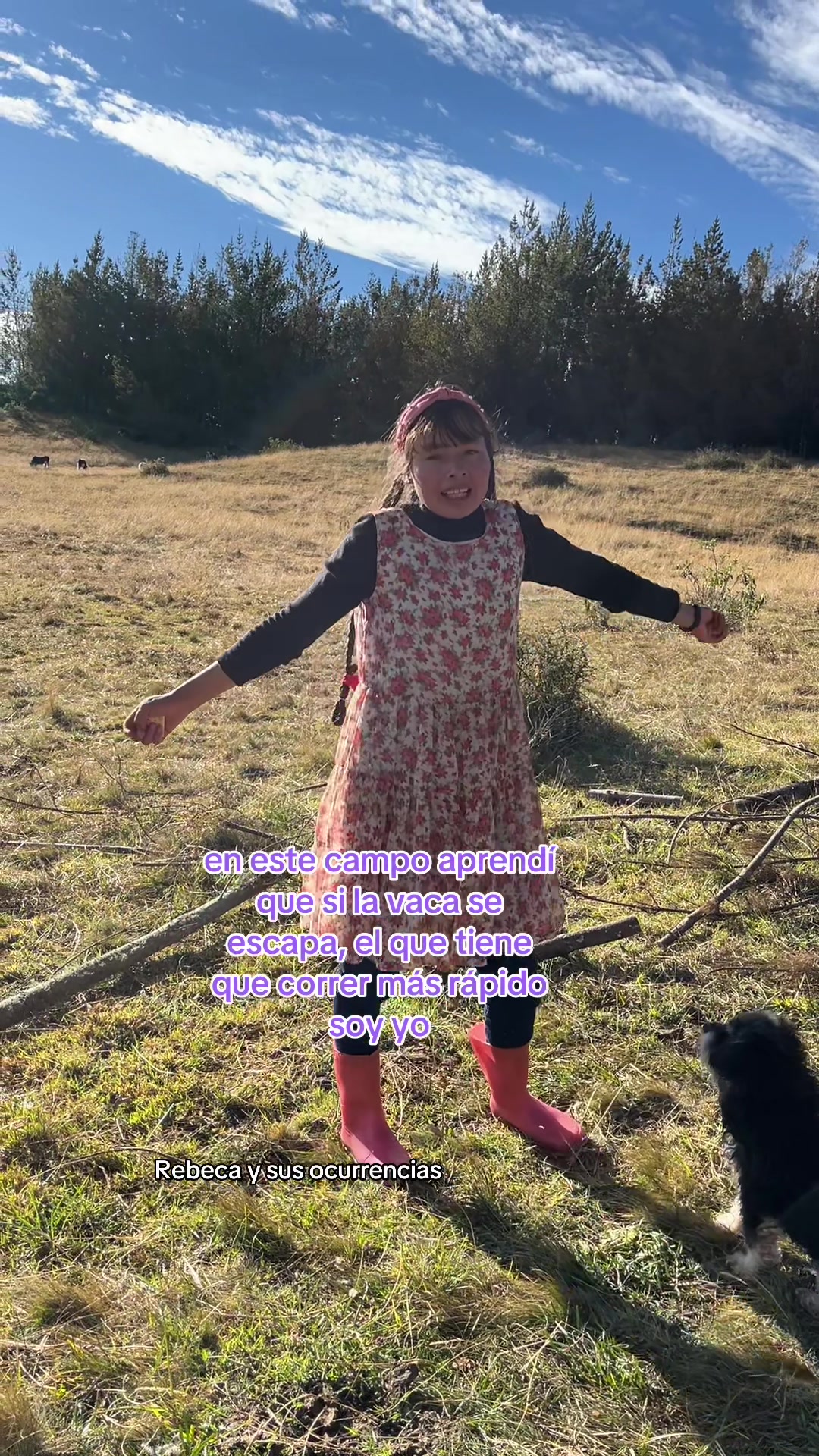 @🐈Rebeca y sus ocurrencias