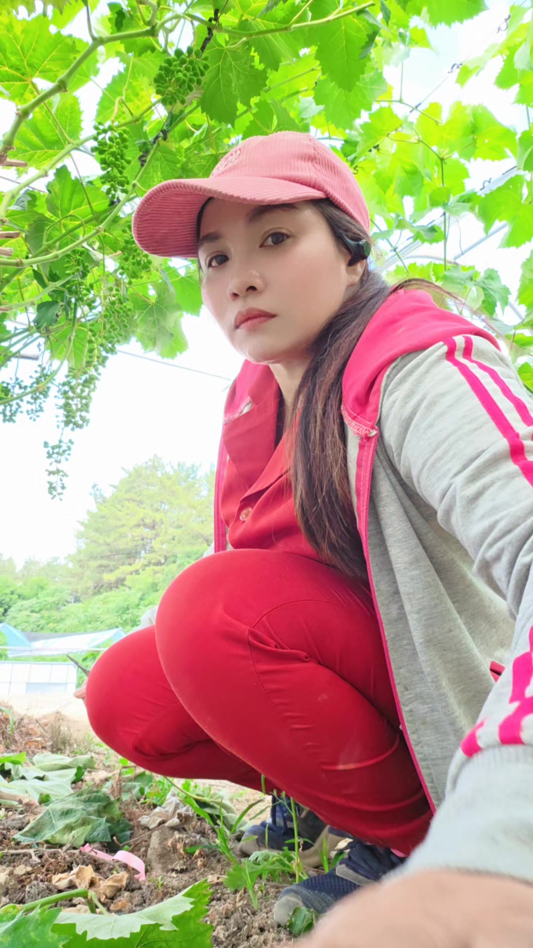 @cố quên tắt cả