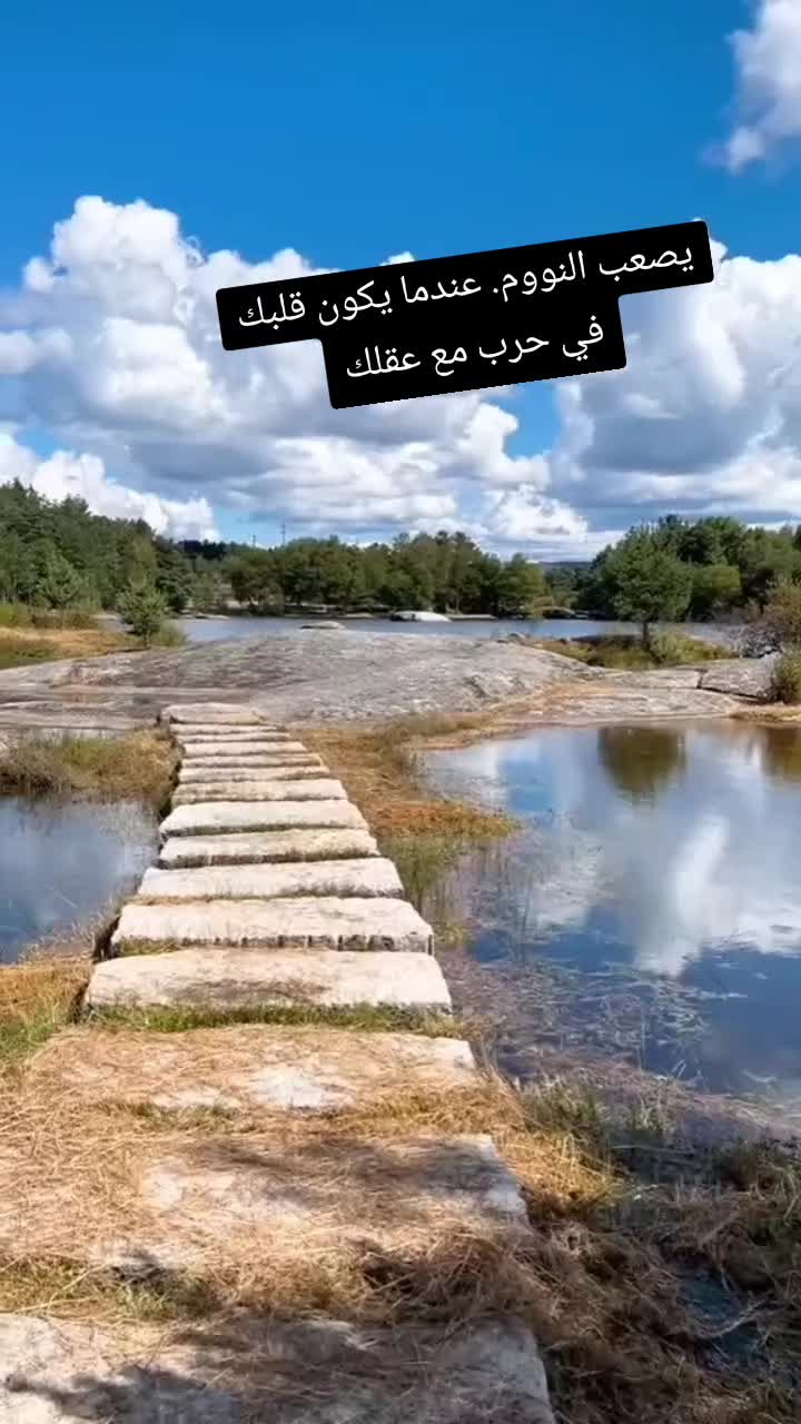 @💎خلوي الليالي💎🫴🫶