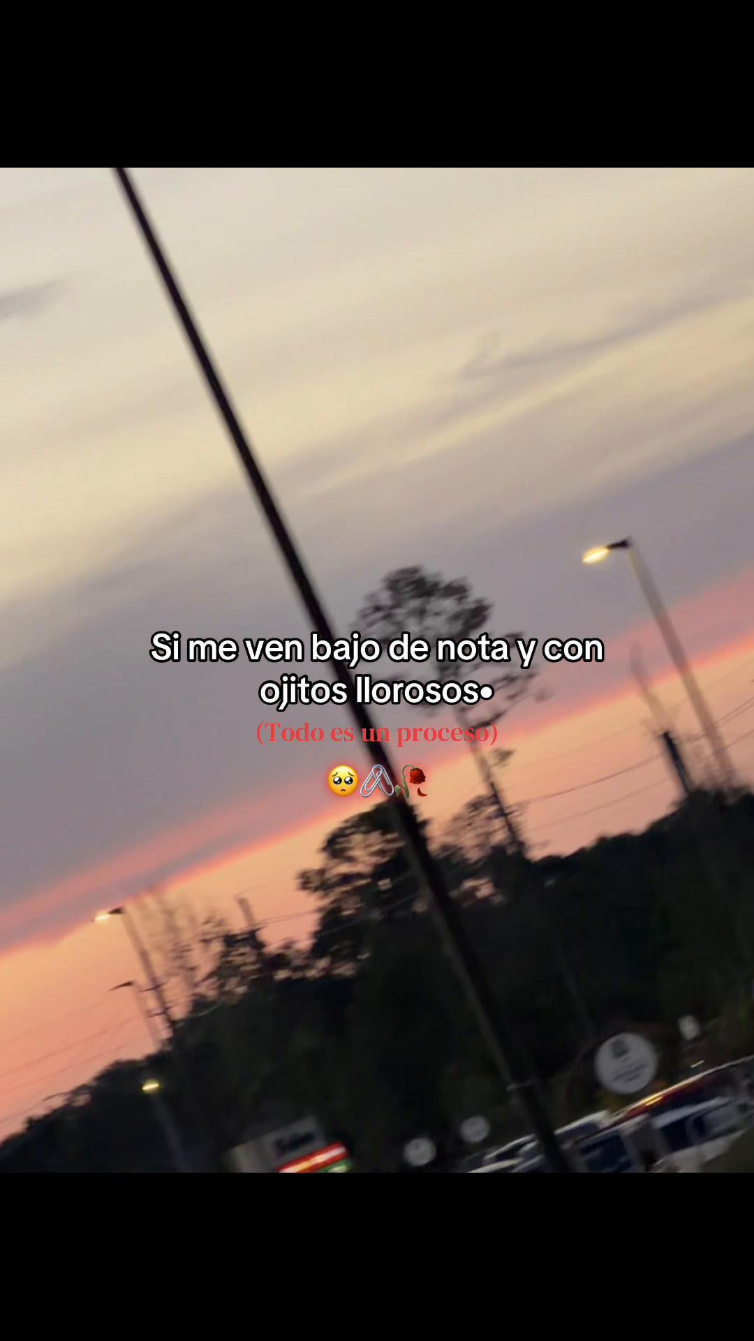 @꧁&bull;⊹٭ᵣₙ 𝙶𝚘𝚗𝚣&aacute;𝚕𝚎𝚣٭⊹&bull;꧂