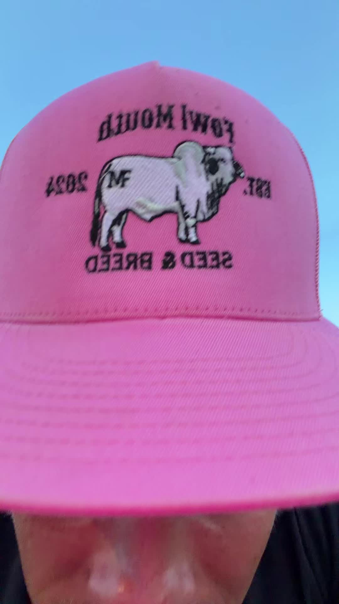 @tmoneytyty