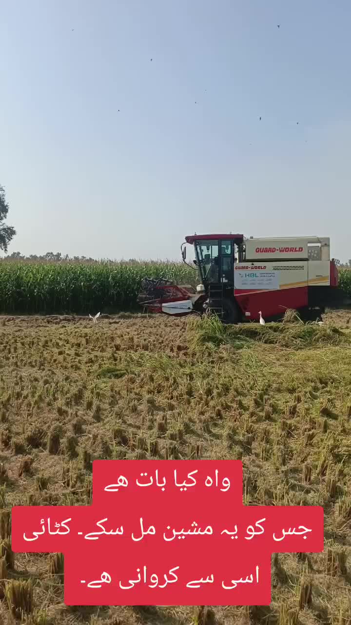 @Pakistan Kisan T.V