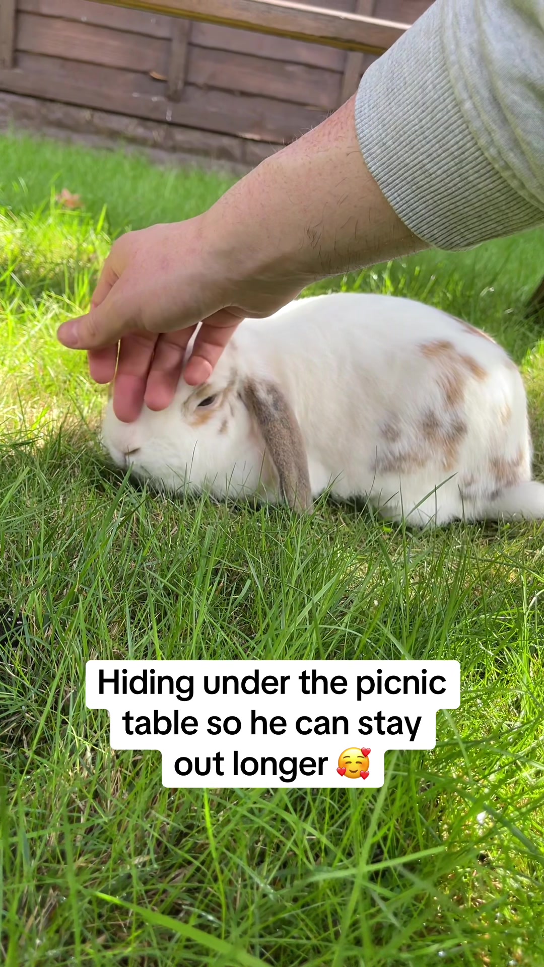 @Bun, two, three, four