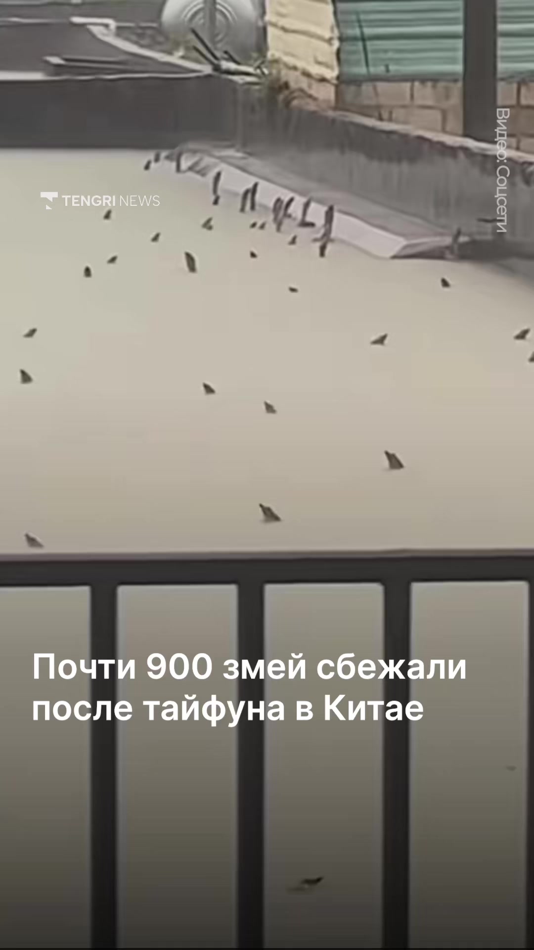 @Tengrinews.kz