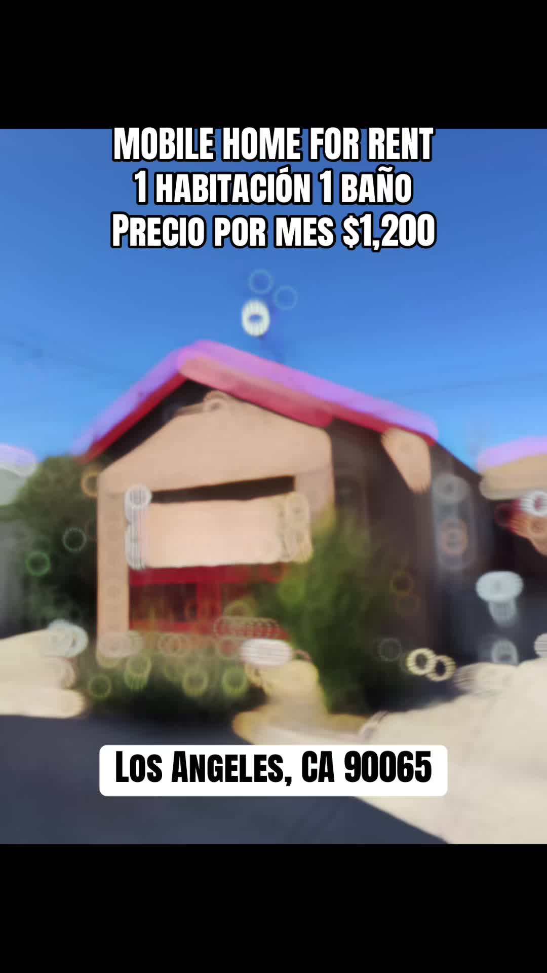@Ray G&aacute;lvez REALTOR&reg;