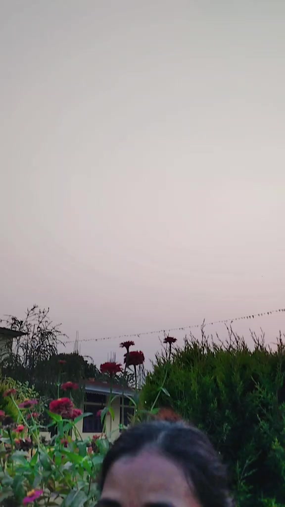 @Sk Xettri858