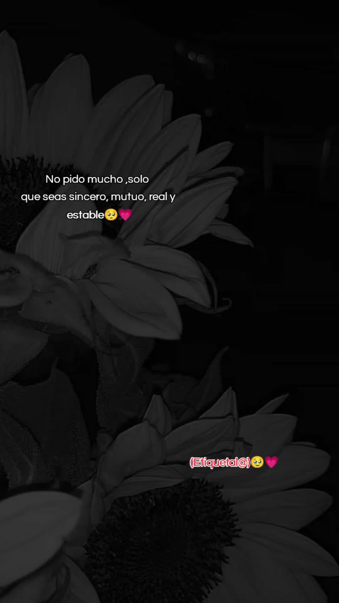 @Carito💗