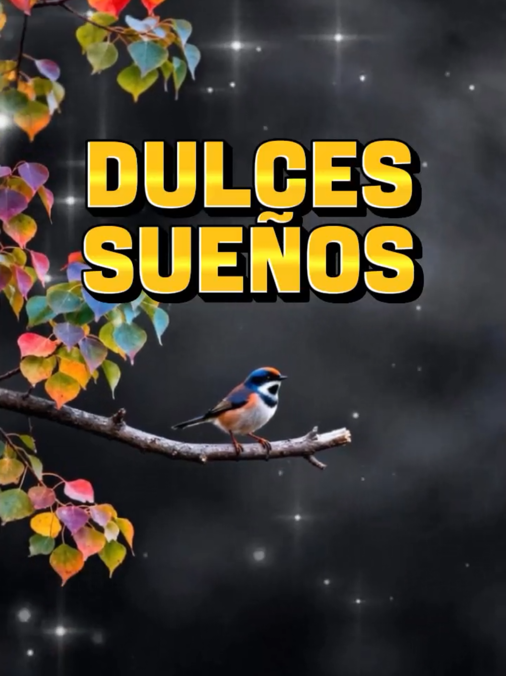 @Arely Mendoza Frases bonitas