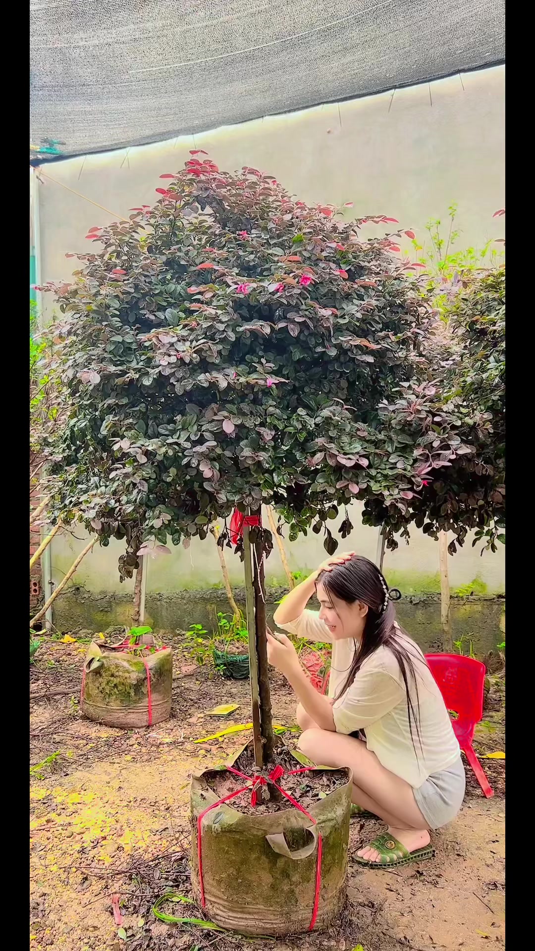 @Khổng La