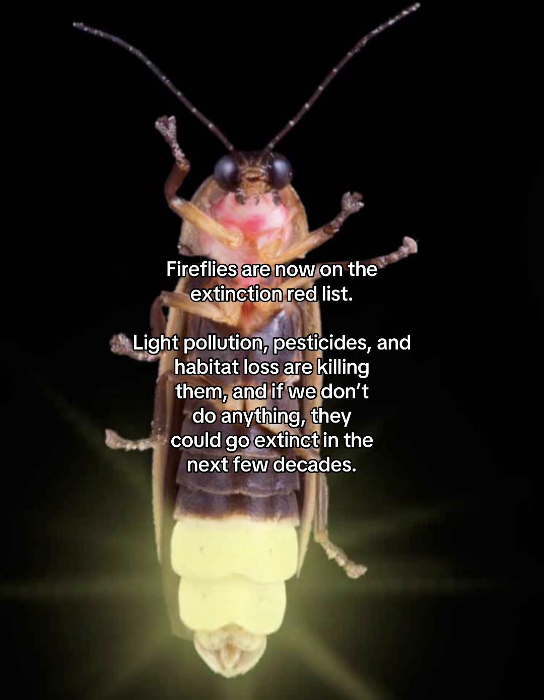 @environmentalist bro