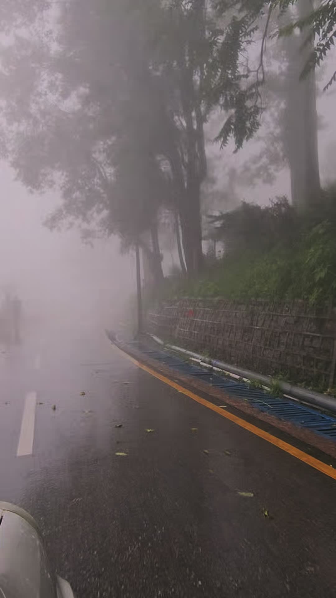 @ₒᵣdᵢₙₐᵣy⛰️ₜᵣₐᵥₑₗₗₑᵣ