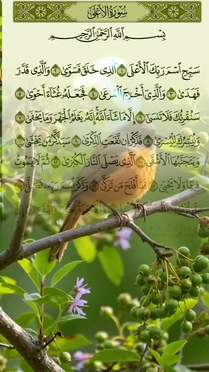 @👑روان بنت حلب👑⛎