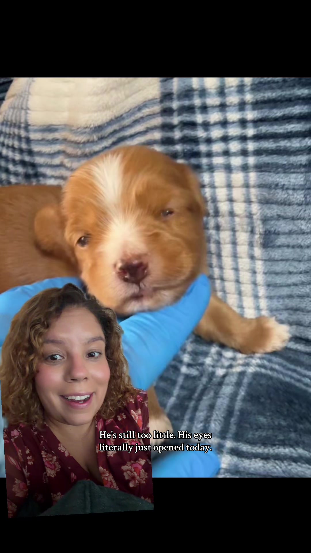 @Claribel A. Ortega - author