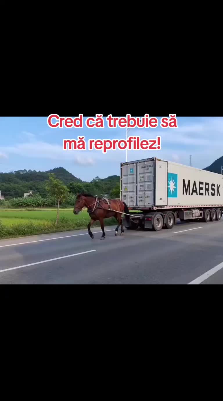@Adrian(Micuțul)Moraru