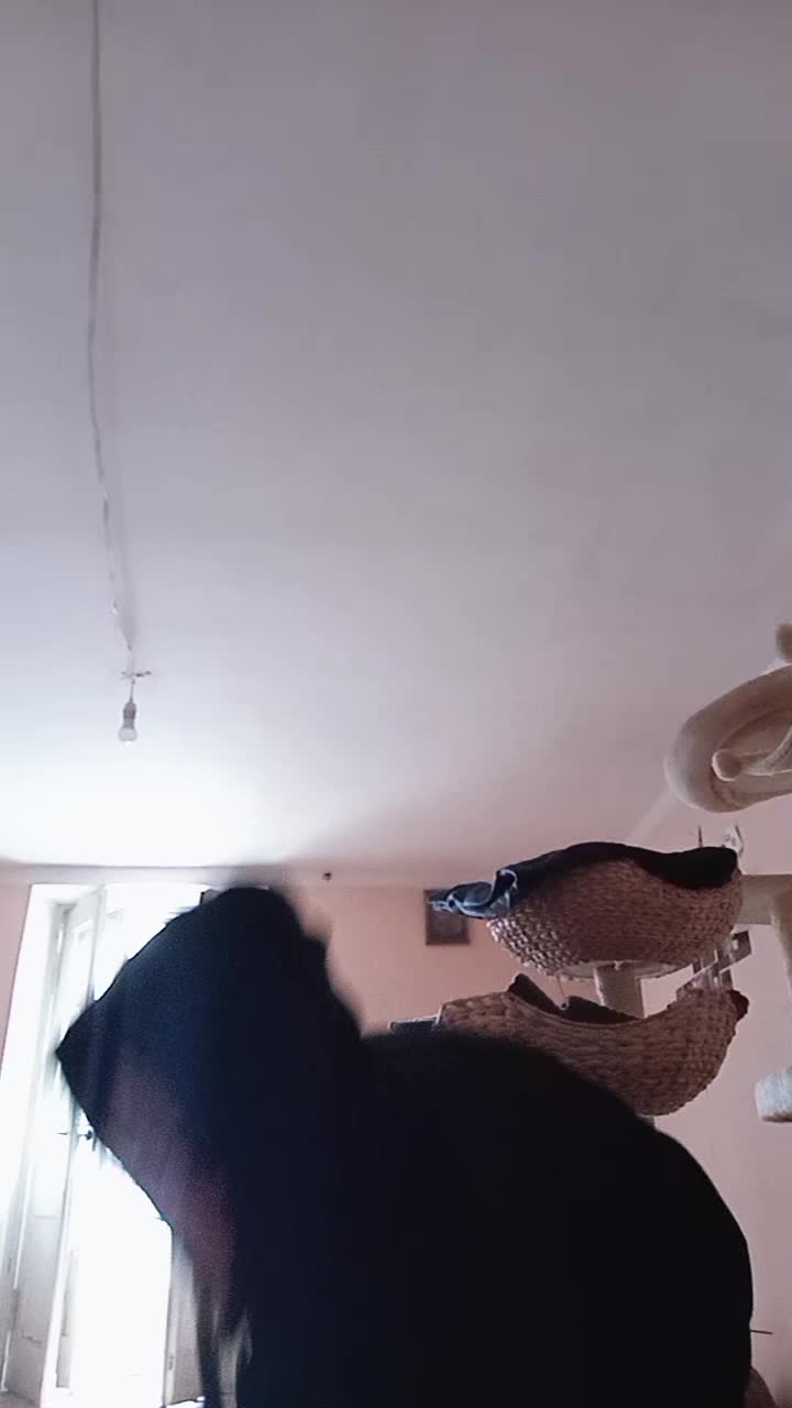 @Roksana.jab