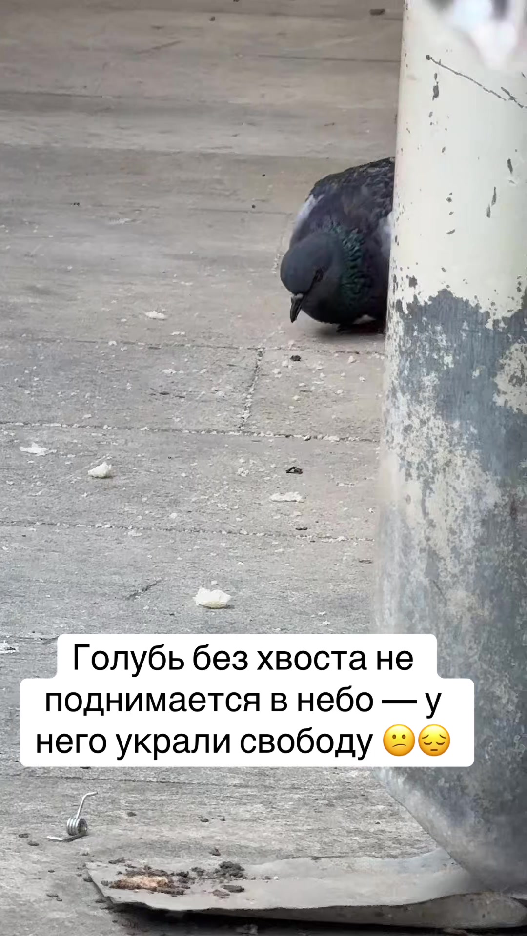 @By.mans🇦🇿