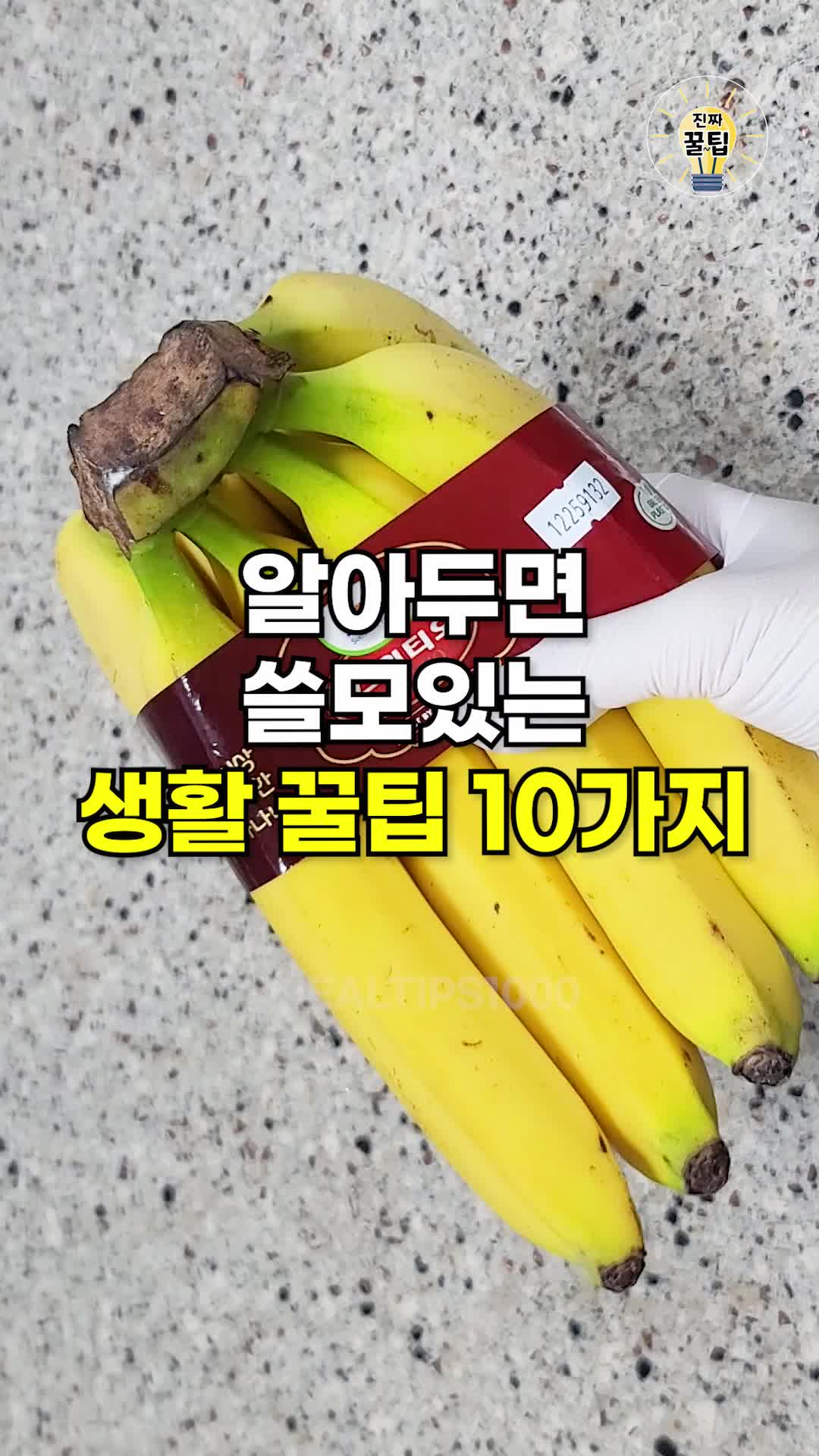 @진짜꿀팁