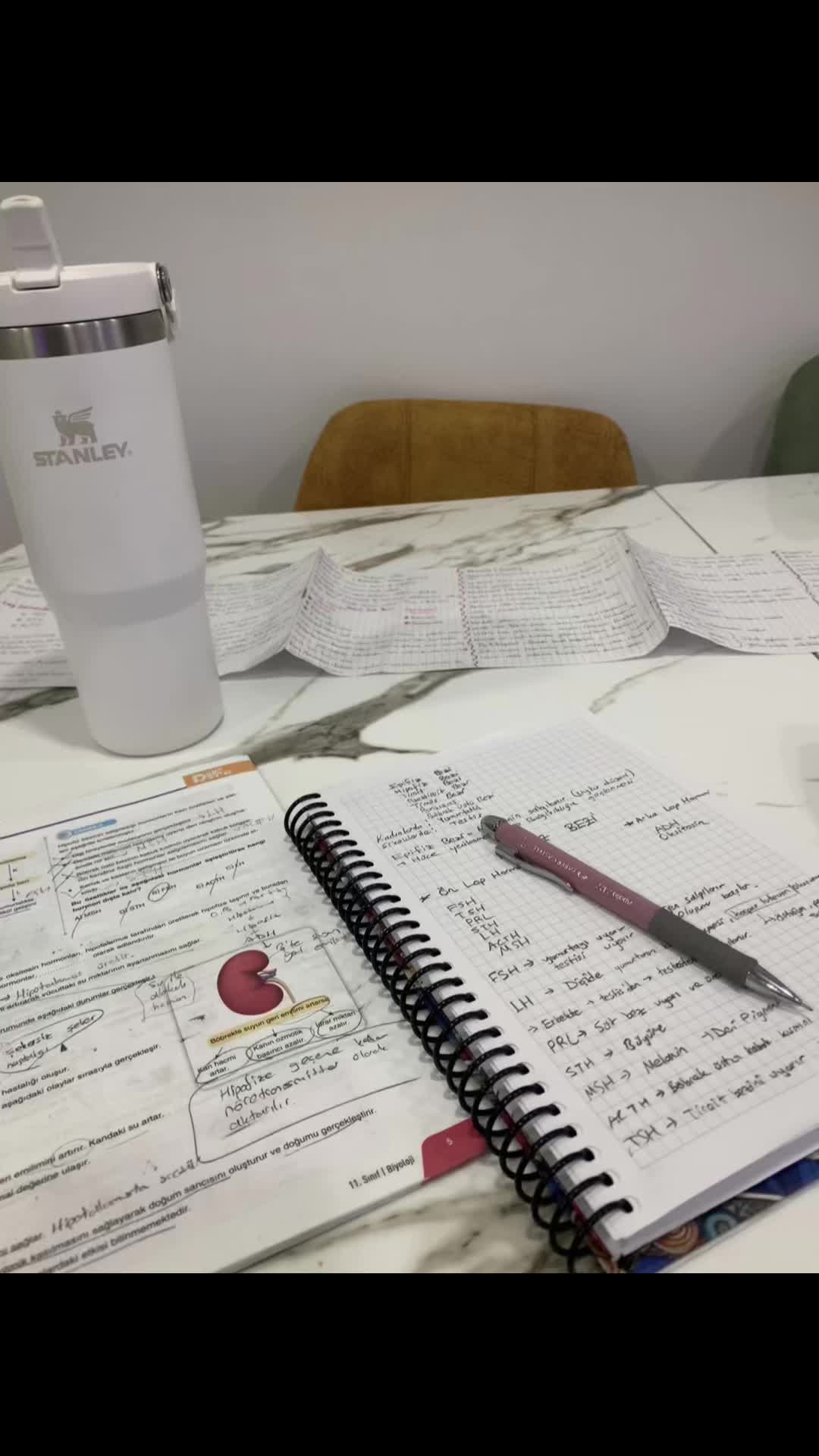 @yks2026📚