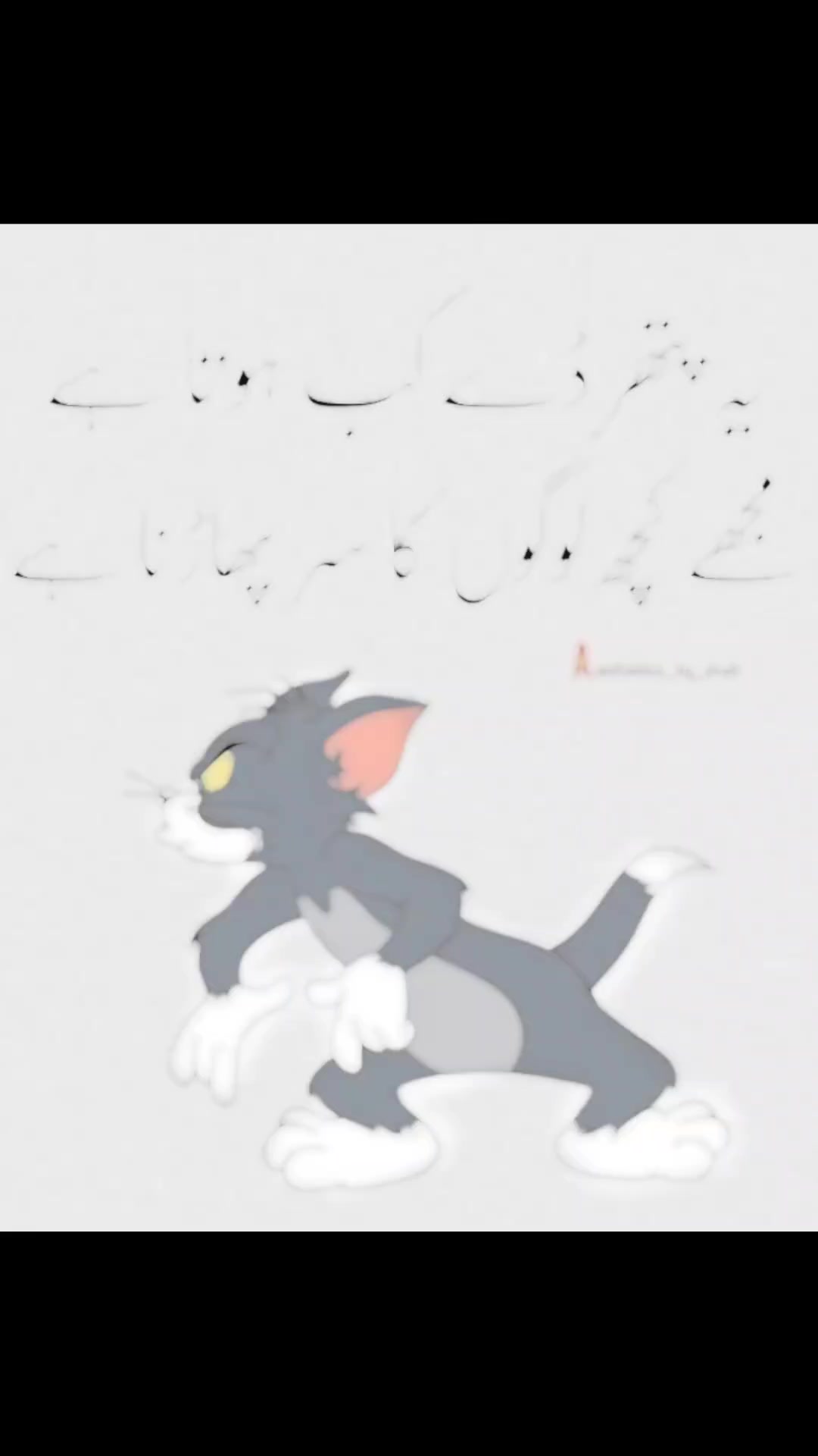 @꧁༒༺ 🅸🅼🆃🅸🅰🆉 ༻༒꧂