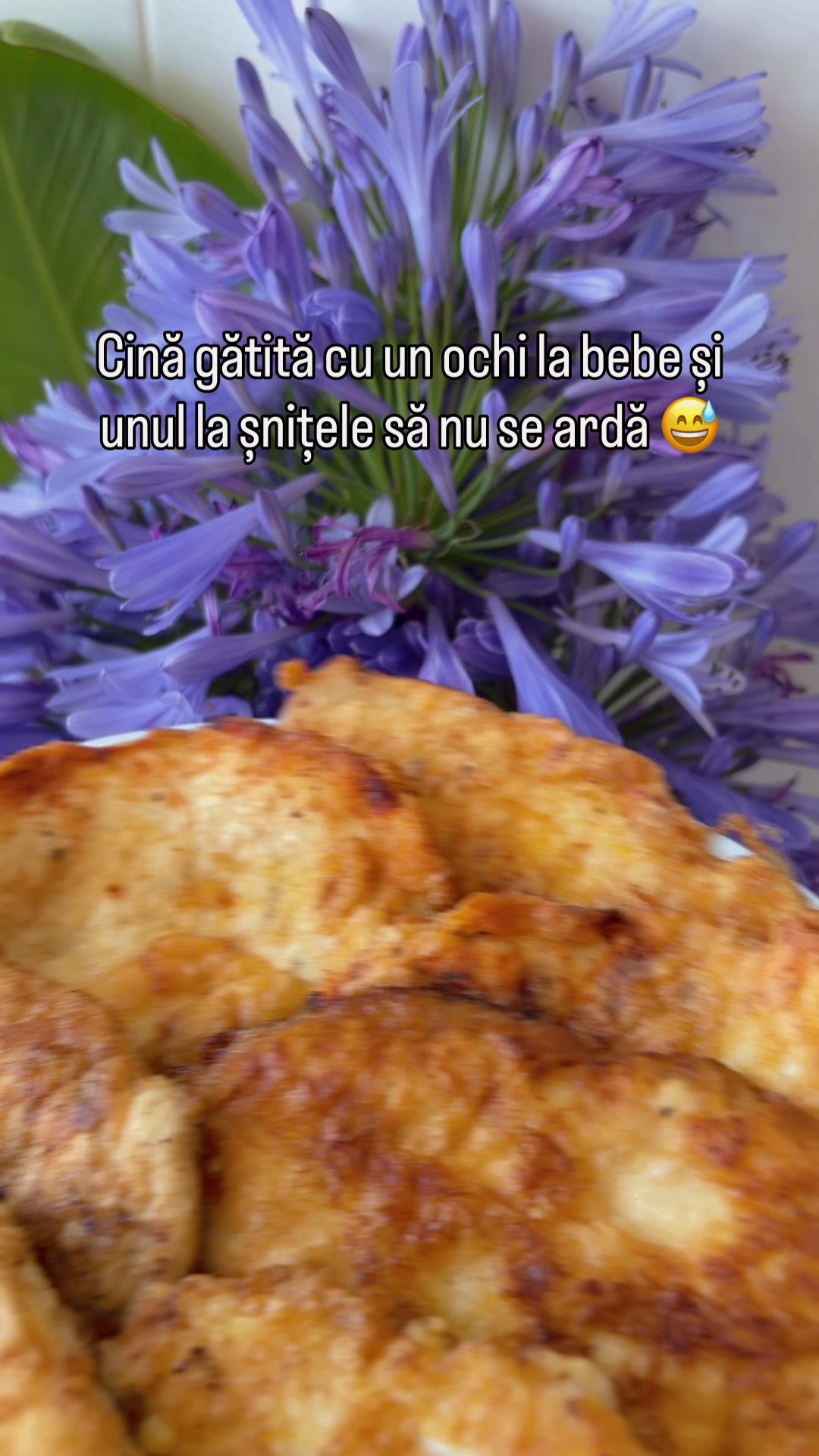 @Moldoveancă_in 🇵🇹