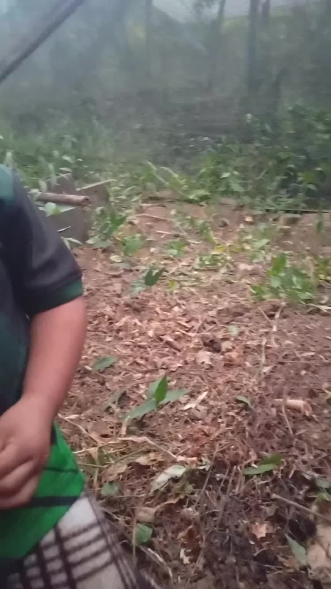 @ZOBEYDAPOMITA
