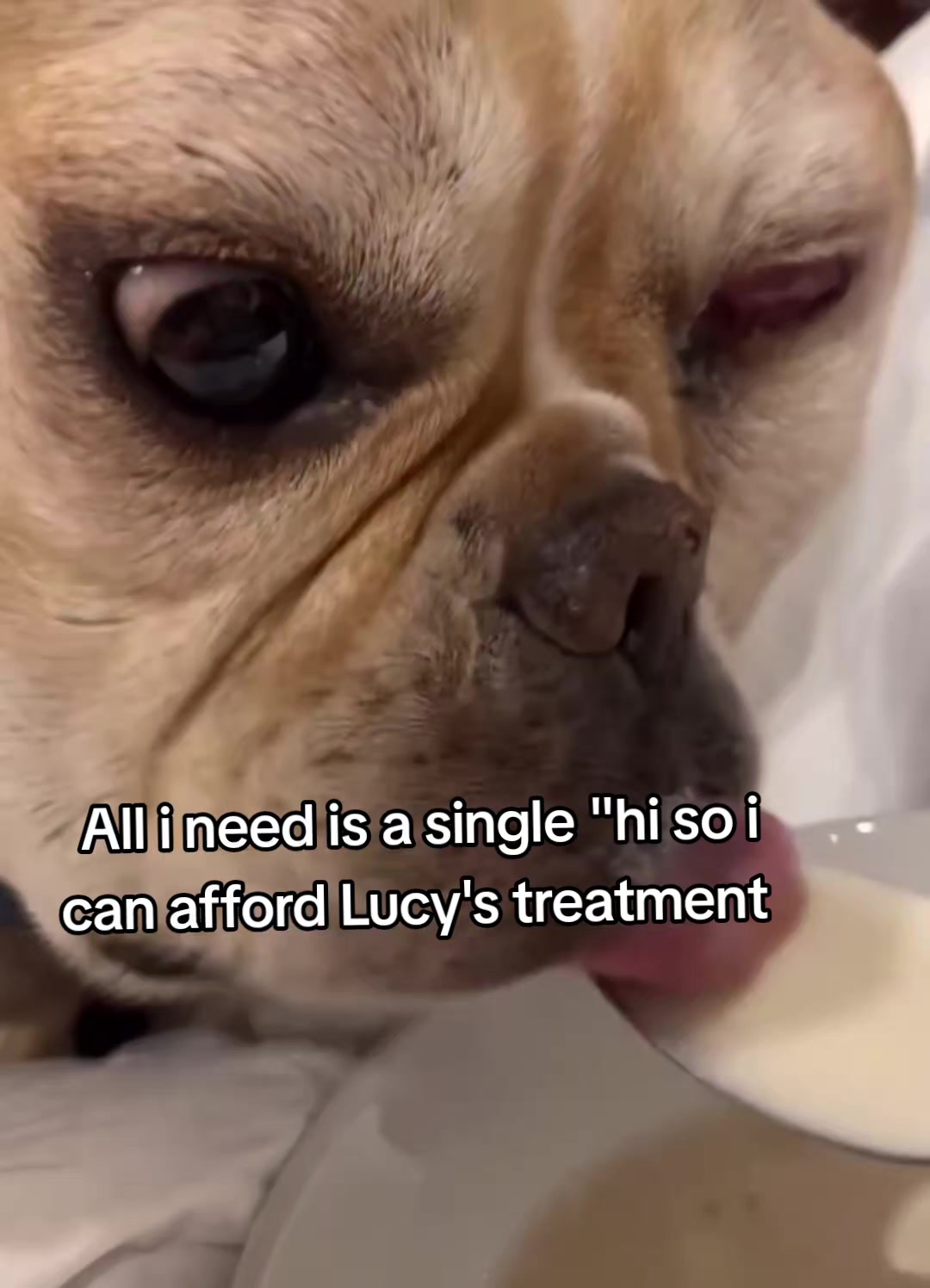@CancerFighterPup