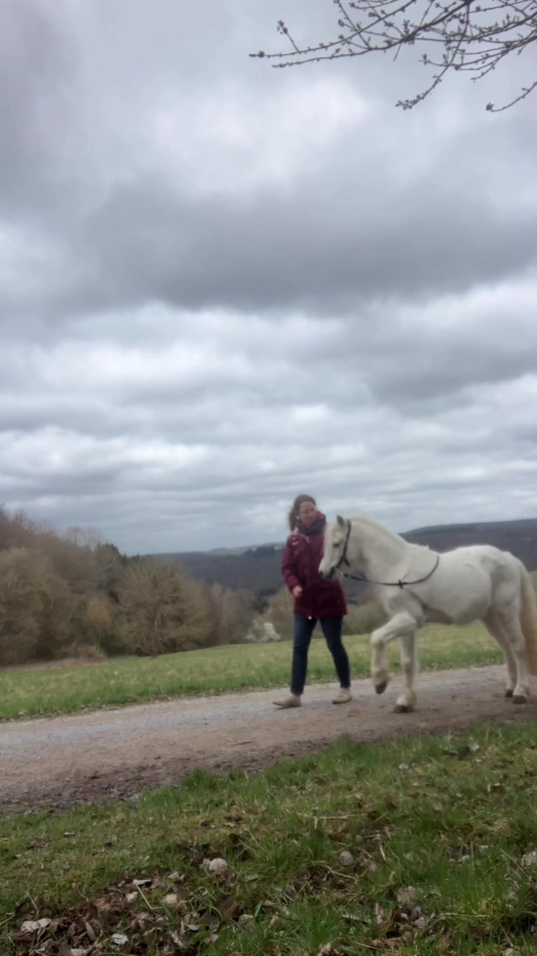 @Good Way Horses
