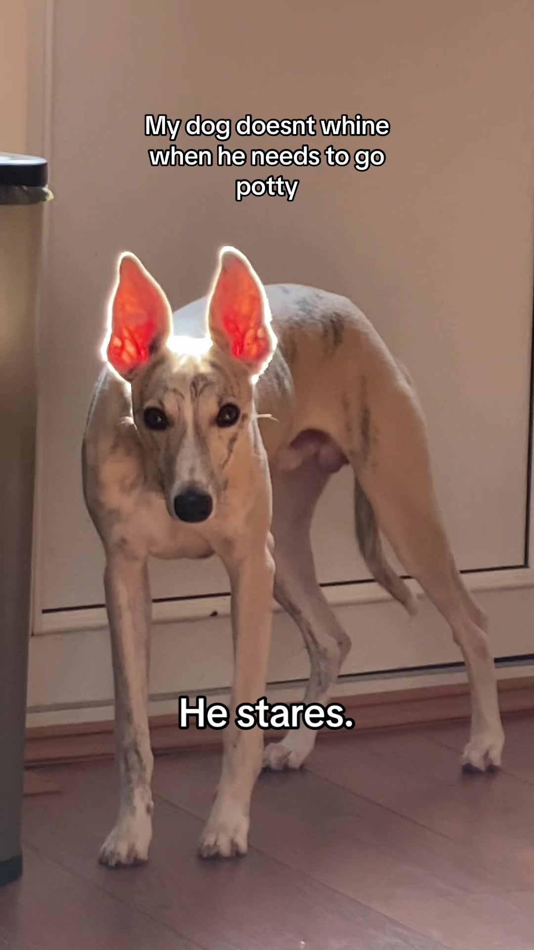 @𝕽𝖎𝖆𝖓🌙