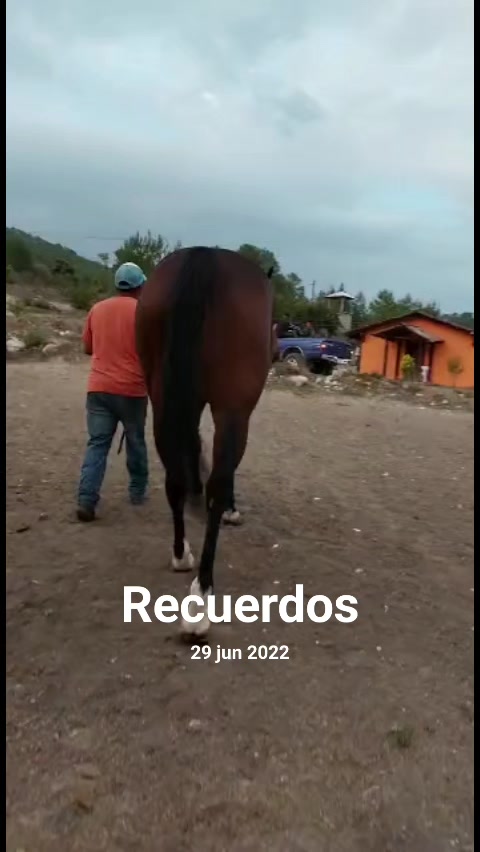 @Donato Martinez