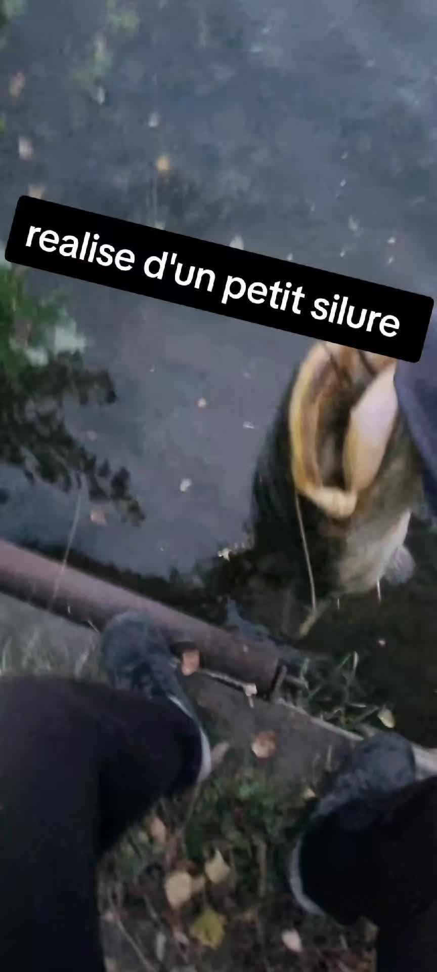 @🎣Max.Fishing27🎣