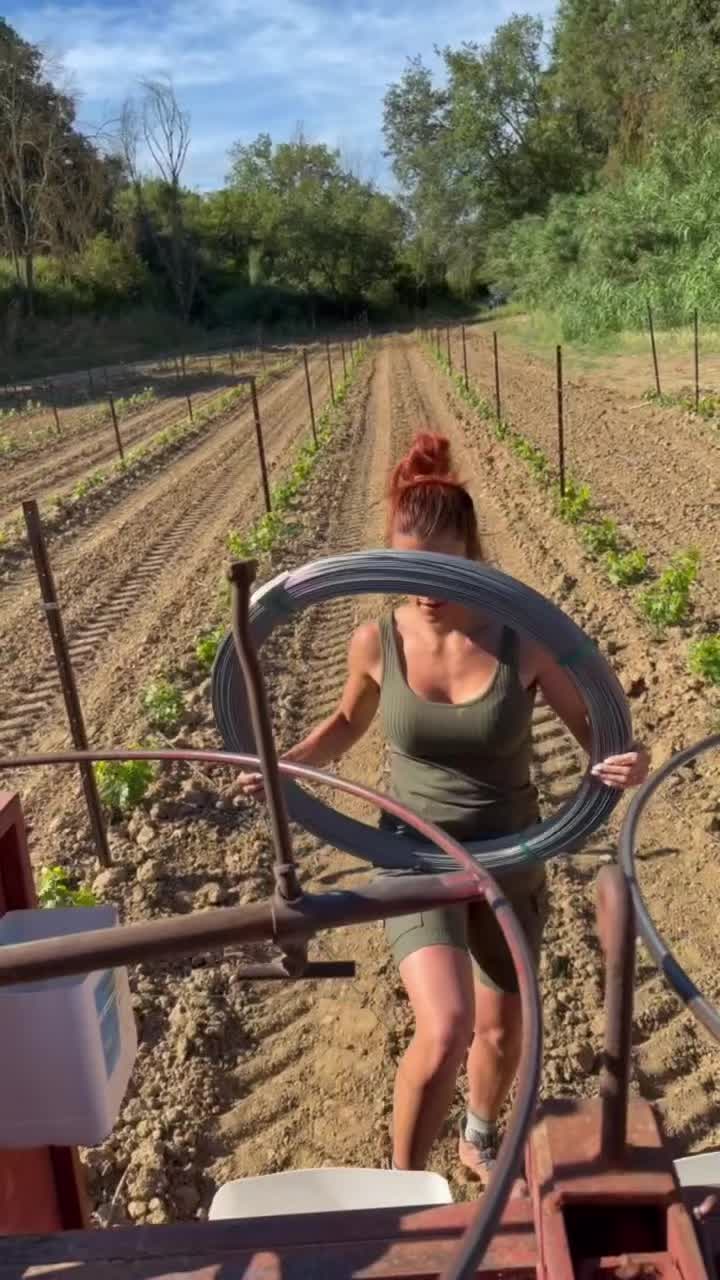 @giulia_snz