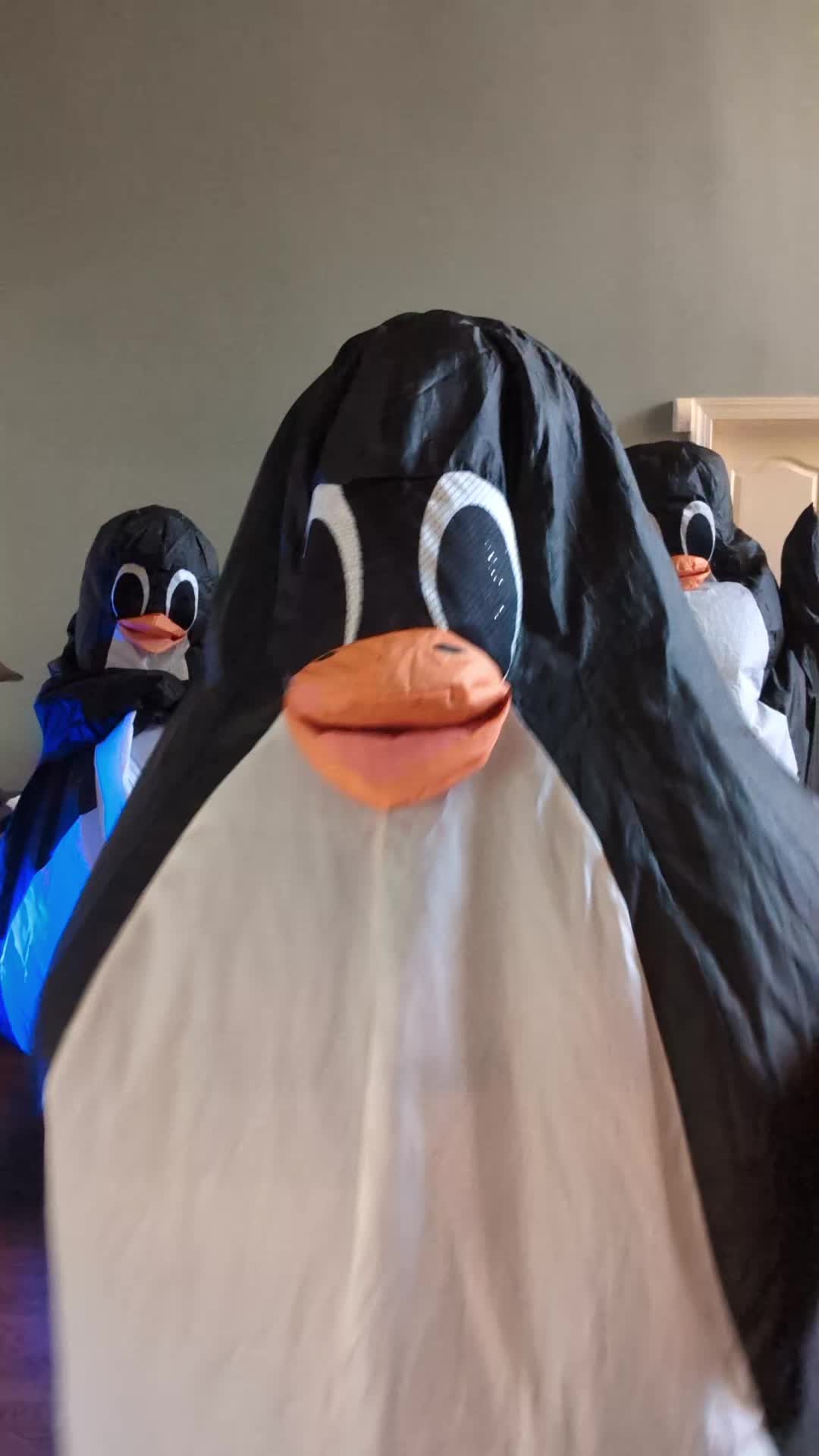 @Flipper