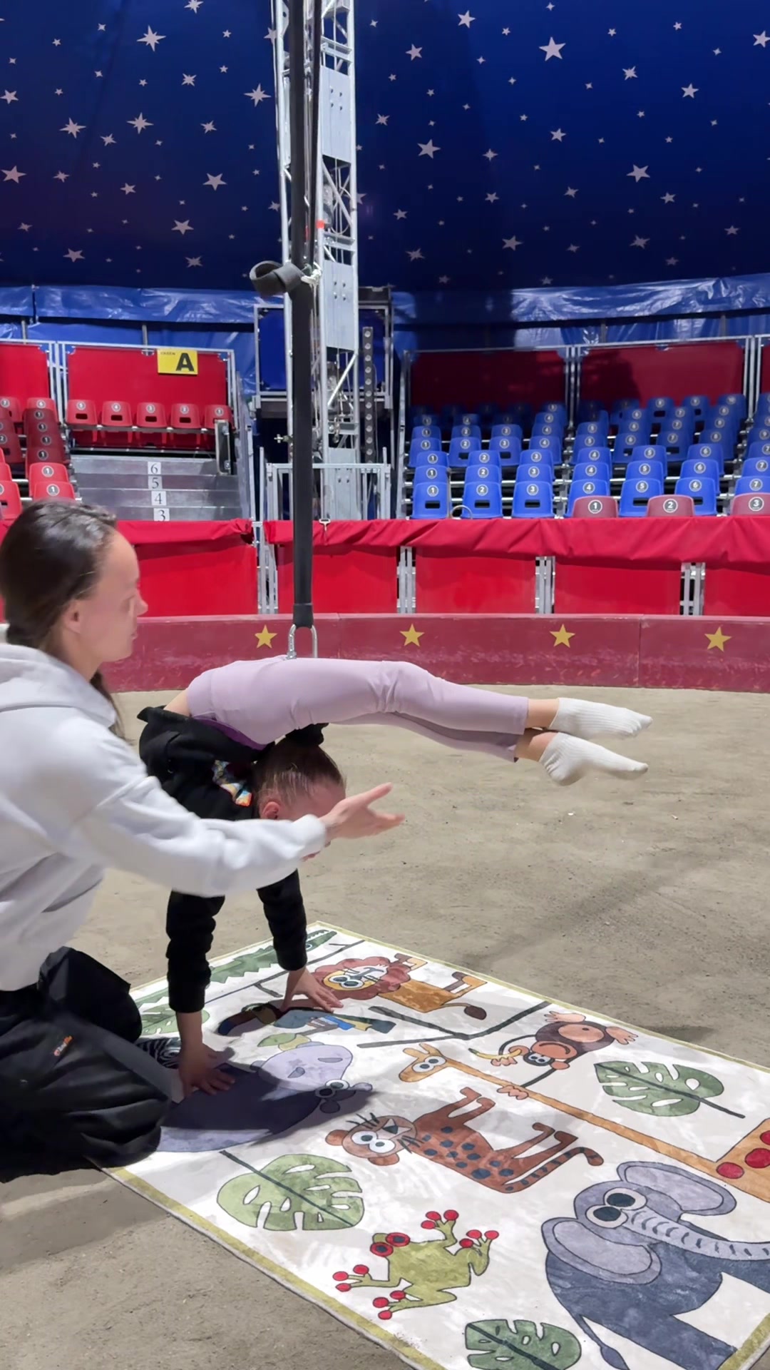 @wow_family_circus