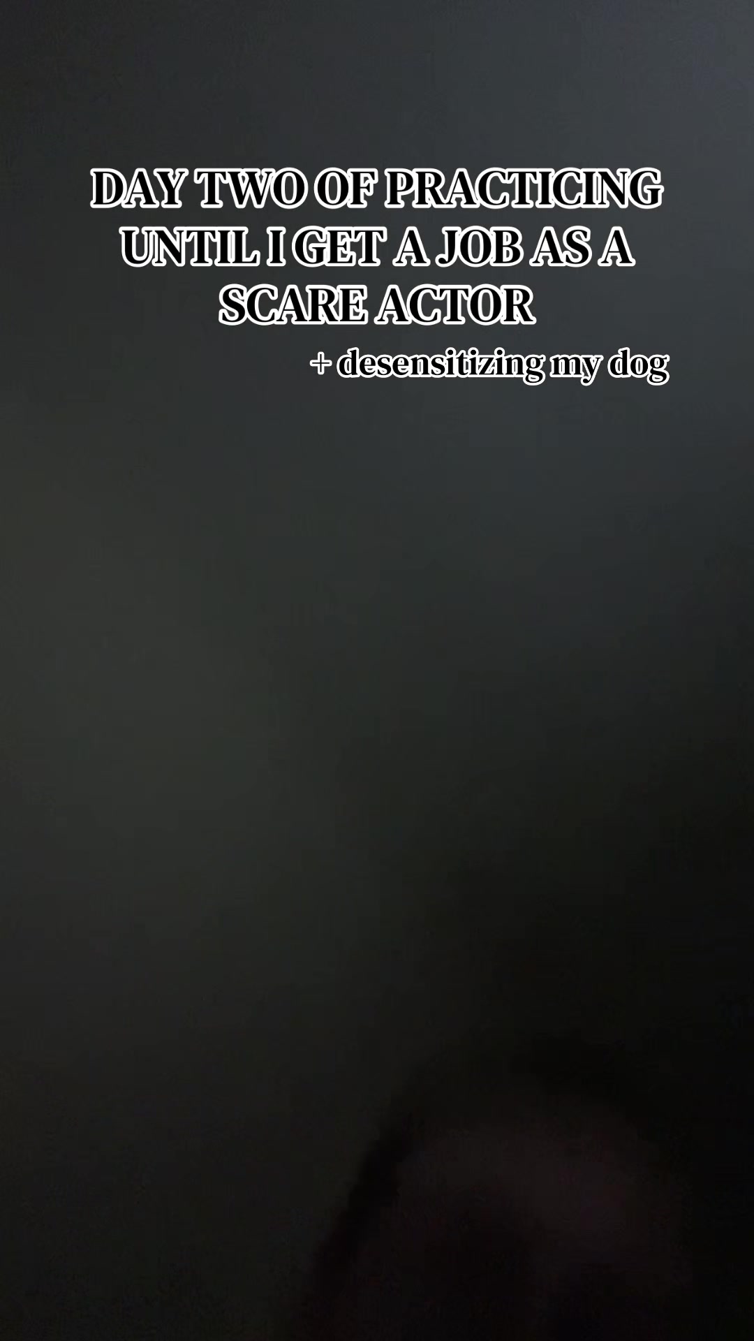 @~ifuckinlovewdgaster~