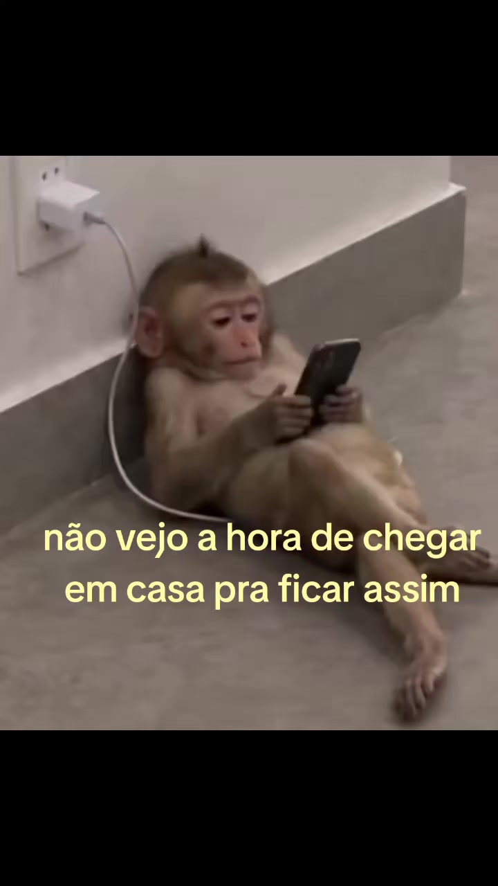@departamento do surto