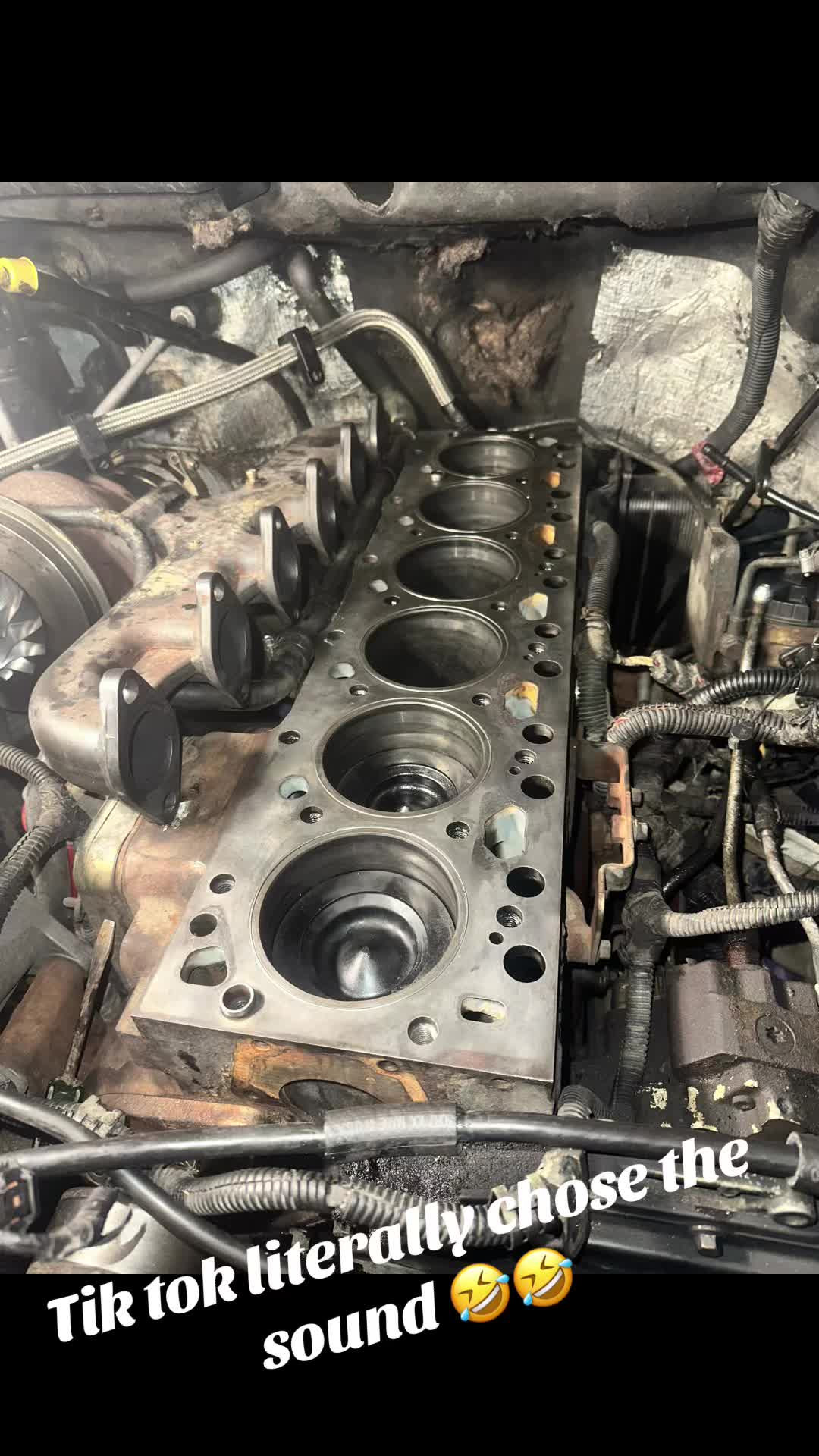 @serpentperformance321