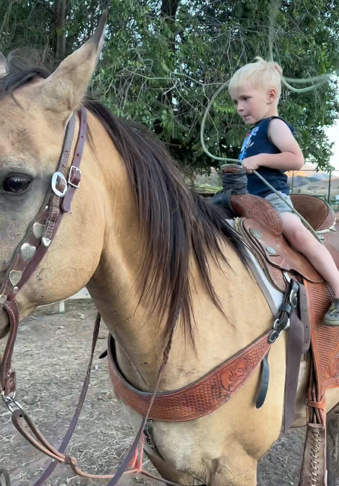 @Roping Dummies Texas